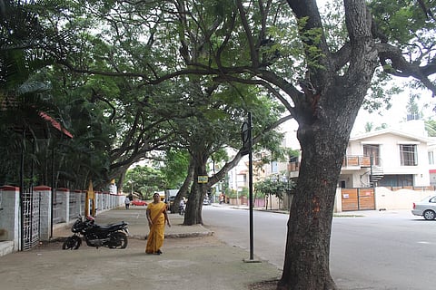 Frazer Town: Is it any safer for women since last year?