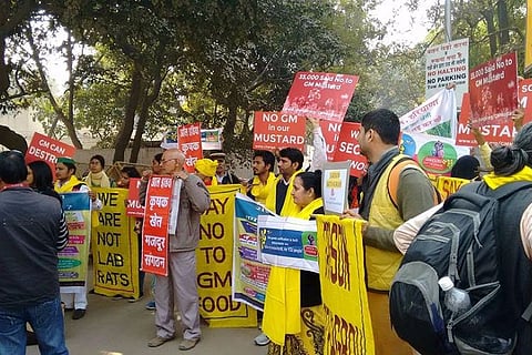 Explainer: What the fight over GM Mustard is all about