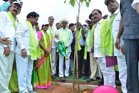 Haritha Haram: Telangana CM KCR launches phase 4 of massive plantation drive