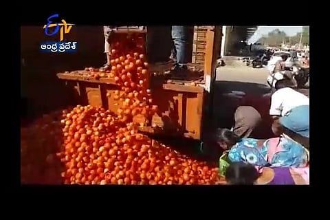 Unable to get more than Rs 2 per kg, farmer dumps two tonnes of tomatoes in Hyderabad market