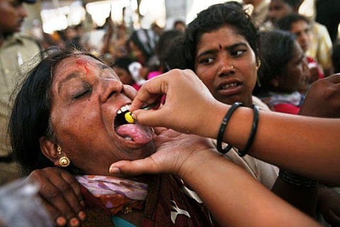 ‘Why use public funds for fish prasadam?’ Telangana HC seeks report from govt