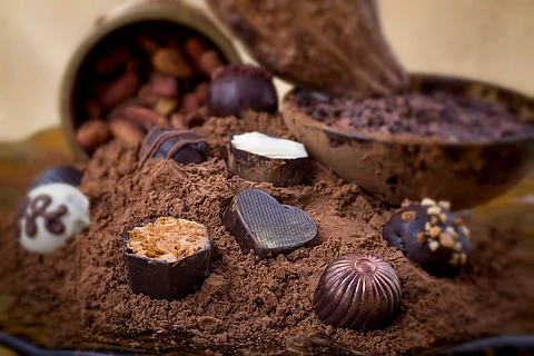 Chocolate is an experience and it's healthy if you do it right, say these choco inventors