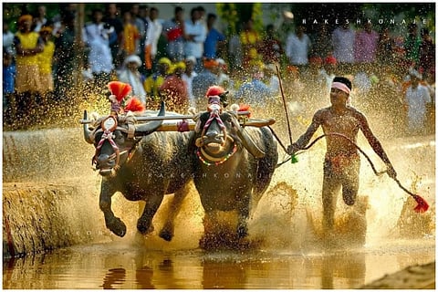 ‘Didn't think I'd run so fast’: Kambala jockey hailed as 'Usain Bolt' for record run