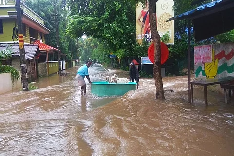 Kerala floods 2019: 22 people dead in rain-related incidents in three days