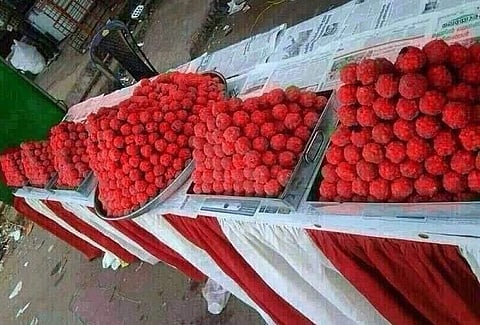 In Pictures: Red laddoos and more in Kerala as LDF celebrates victory