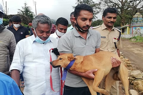 Koovi the dog of Pettimudi