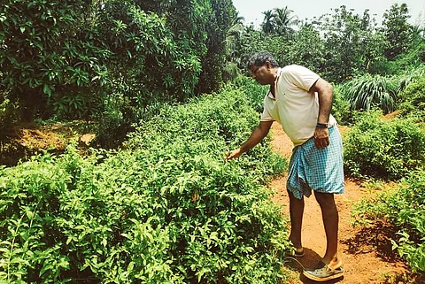 A fight to save lands: How K’taka residents are resisting an oil refinery’s expansion