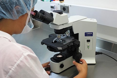 Microbes: Our tiny, crucial allies