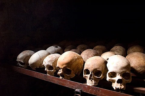 In a first, Pope apologises for Catholic Church's role in Rwanda Genocide