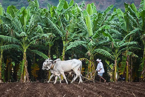 Farmers protest against 3 bills