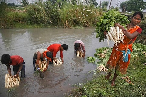 Explained: What Tamil Nadu’s new law on contract farming is all about