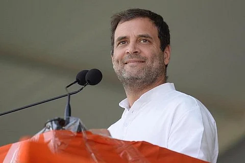 Rahul Gandhi irks environmentalists as he seeks lifting of Bandipur night traffic ban