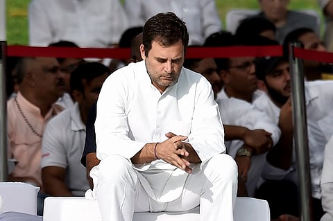 Rahul Gandhi insists he will quit, says Congress has to find new chief: Reports