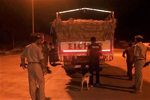 Red sanders logs worth Rs 1 cr seized in Andhra after chase by task force