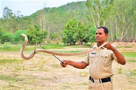 From cop to snake catcher: Meet the Telangana man who is now a local hero