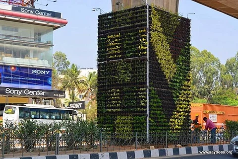 Bengaluru now has a vertical garden to help tackle increasing pollution