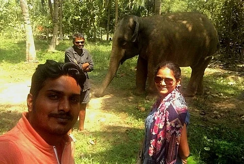 Jumbo shift: Meet the Bengaluru couple who dropped lucrative jobs to care for elephants