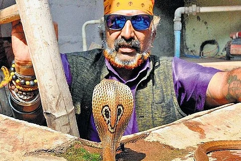 From a snake catcher to a corporator: Read how this Mysuru man dons different roles
