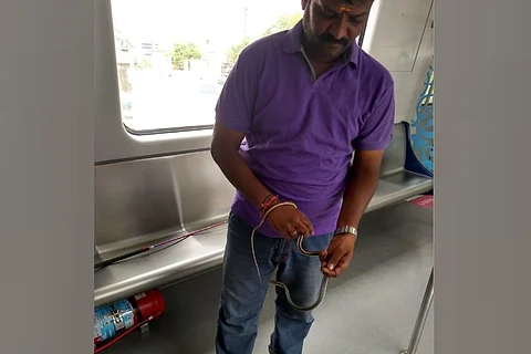 Snake caught on board Hyderabad Metro train after 5-day search