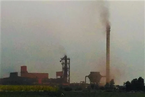 Ground report: Crops ruined due to dust from sponge iron plant, Andhra farmers allege