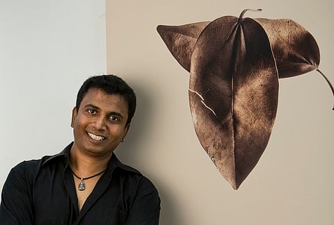 ‘The Last Dance of the Leaves’: Art that celebrates dying beautifully