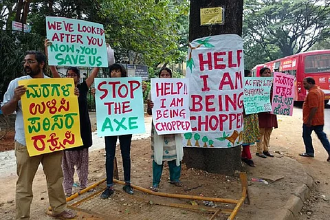 Don't cut down trees to make way for bigger footpaths: Protest against TenderSURE in Bengaluru