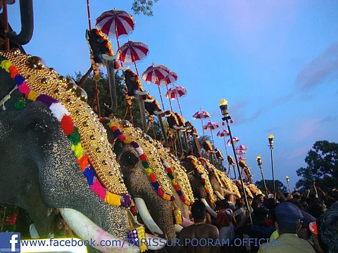 Thrissur Pooram gets green signal for fireworks display, but with conditions