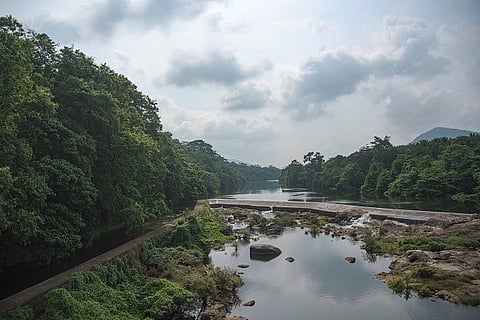 Protecting forests with law: What Tamil Nadu can learn from Kerala’s Kadar tribe