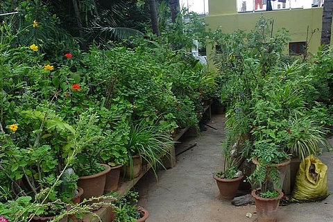 Bengaluru’s high-rises will have to build terrace gardens if BDA’s plan takes off