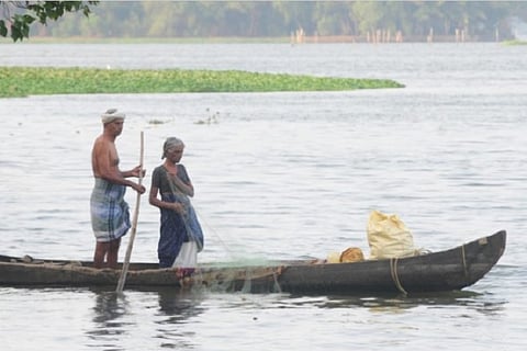 Rebirth of dying Vembanad lake in sight with new court orders