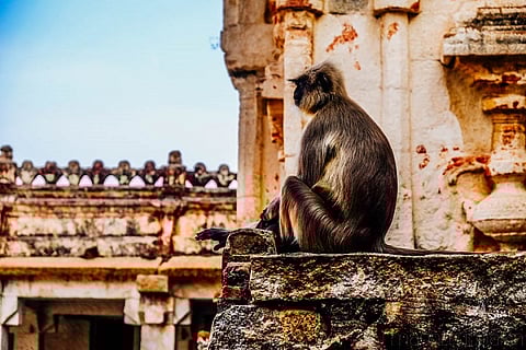Photo essay: Kishkindha, the kingdom of the Vanaras