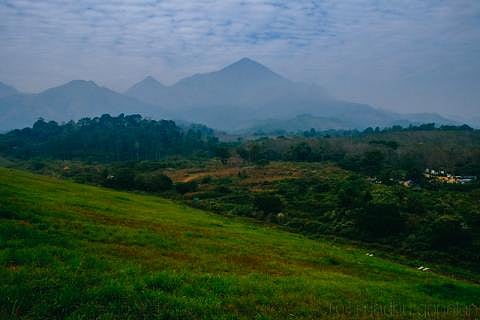 Photo Essay: Lush green hills of Wayanad and petroglyphs of Edakkal caves
