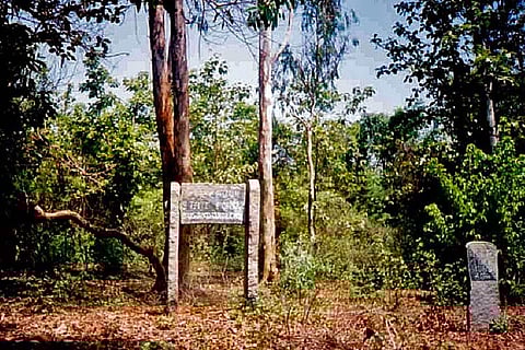 Lack of proper vaccination drive behind 'monkey fever' outbreak in Karnataka