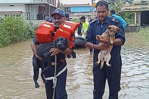 Help reaches 128 people stranded in Kodagu, some villages still isolated
