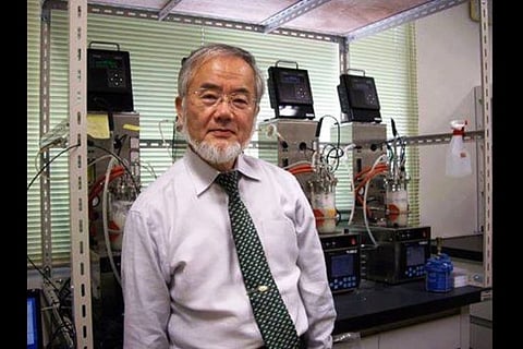 Yoshinori Ohsumi: A deserving winner of the Nobel Prize for physiology or medicine