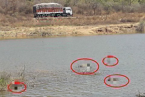 Dead men found floating in AP lake were from Salem: Did they drown?