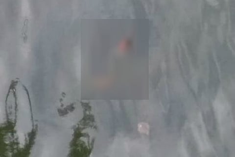 Andhra man allegedly throws 3 sons into river after tiff with wife, bodies found