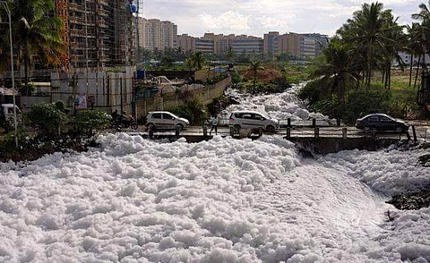 An Open Letter to Bengalureans from Bellandur Lake
