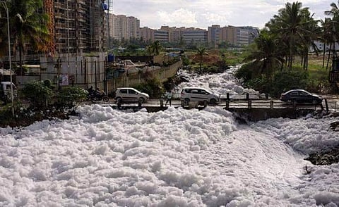 Large B'luru apartments without sewage treatment should face criminal charges: NGT panel