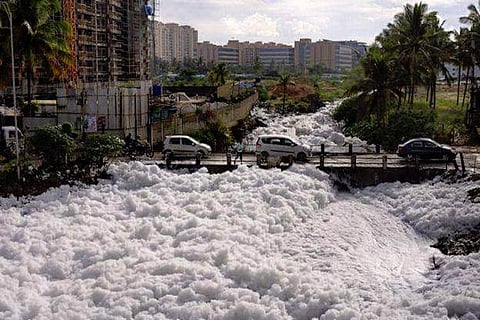 Stop issuing notices, shut down polluting industries near Bellandur Lake: NGT tells KSPCB