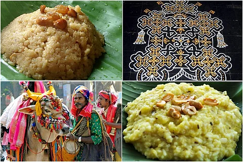 Tales, food and agriculture: How Sankranthi is celebrated across India