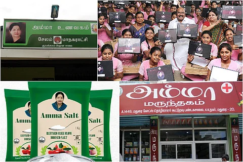 The mind boggling list of every Amma product and service launched in last 5 years