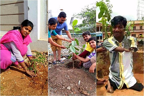 Green Bengaluru: Techie starts WhatsApp campaign urging people to plant saplings and post pictures