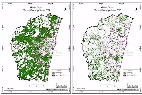 Why Chennai needs greenery typical to its landscape and not exotic species