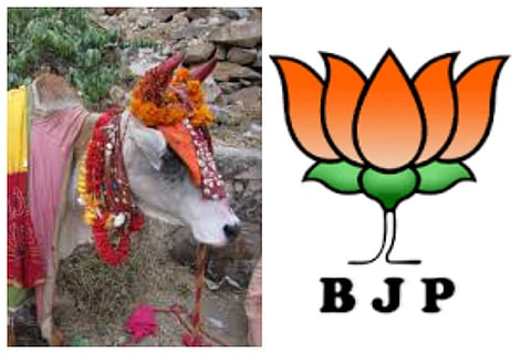 'Cow gives milk, not votes' - How BJP is being trolled online for losing Bihar