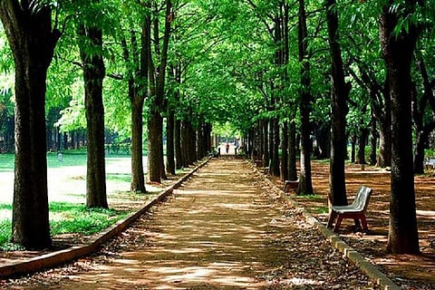 Cubbon Park