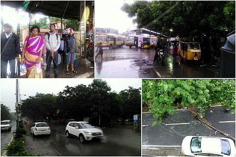Photos: Heavy winds and rains lash Chennai, as city braces for landfall of Cyclone Vardah