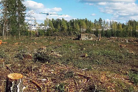 Around 2,305 sq km of India’s forest cover could be wiped out by 2025: ISRO study