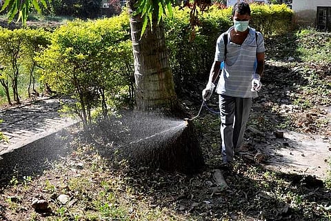 Dengue cases in India up by over 11,500 from last year, south Indian states worst hit