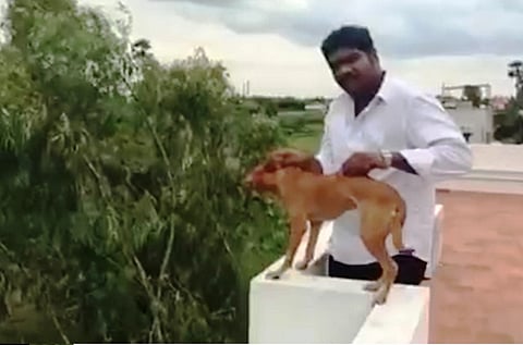 Expel them, send a message: Teenager's open letter to college where Chennai dog abusers study